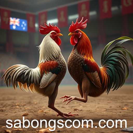 The Rise of Online Sabongs