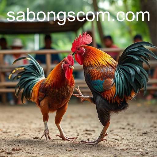 The Rising Popularity of Sabongs Online