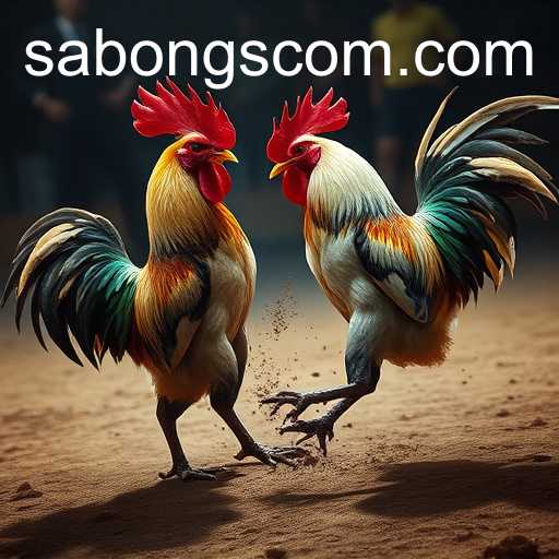 sabongs